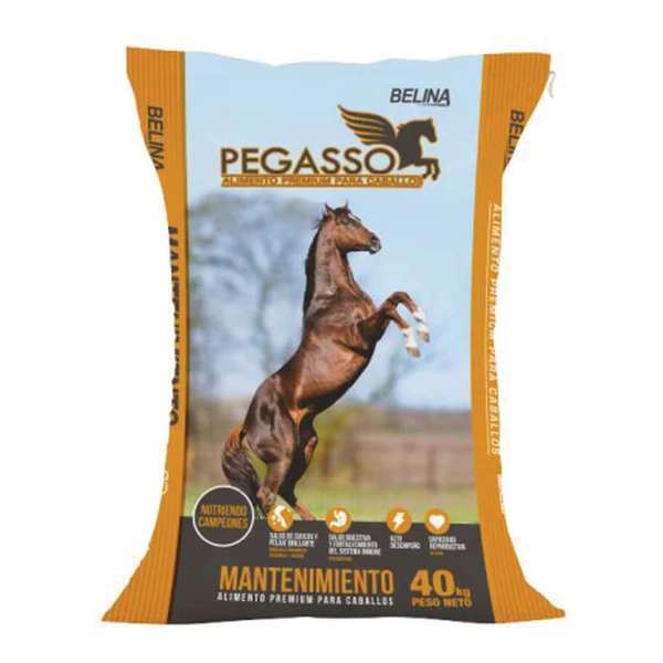 Empaque de Pegasso Mantenimiento
